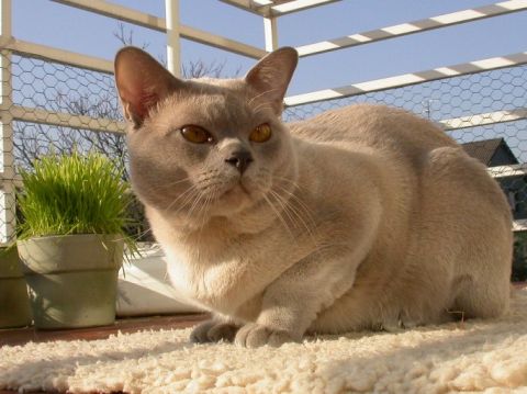 Quincy Februar 2008